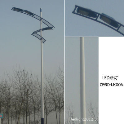 【遼寧/吉林/黑龍江40W工廠廠區專用 太陽能LED路燈 LED防爆路燈】價格,廠家,圖片,道路燈,滄州市財富光電新型節能建材-