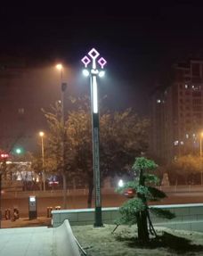 山東凱創光電景觀型led路燈點亮臨淄區新政務中心