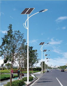 山東新農(nóng)村建設(shè)6米led太陽能路燈