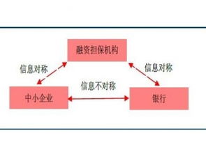 賽億科技 以創(chuàng)新解決方案驅(qū)動(dòng)物聯(lián)網(wǎng)產(chǎn)業(yè)發(fā)展